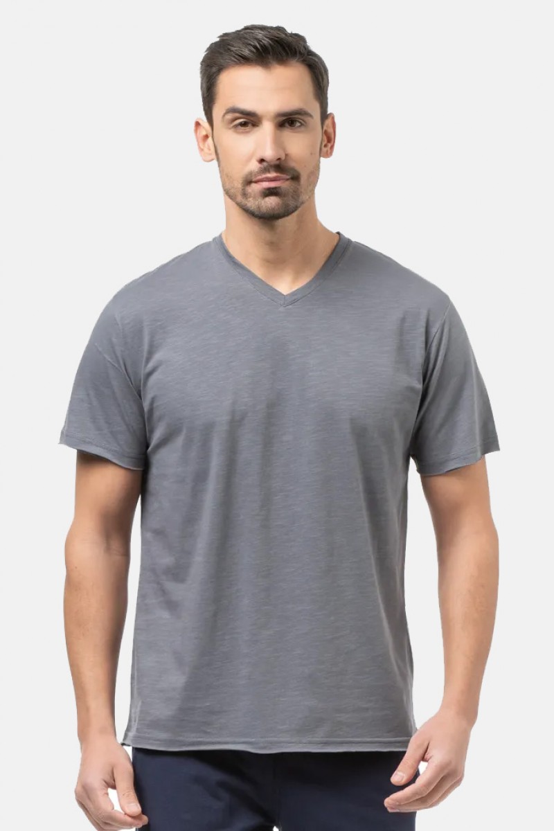 Ανδρικό T-Shirt Flama με V BODY MOVE 1452 ΓΚΡΙ