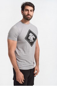 Ανδρικό T-Shirt Cotton4all DEE JAY Grey