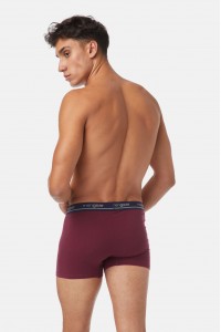 Ανδρικά Boxers MINERVA 29434 MENGEAR 2 Τεμάχια