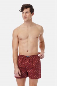 Ανδρικά Boxer MINERVA Poplina 2 Τμχ 23081 GREEN Ανδρικά Boxer MINERVA Poplina 2 Τμχ 23081 GREEN