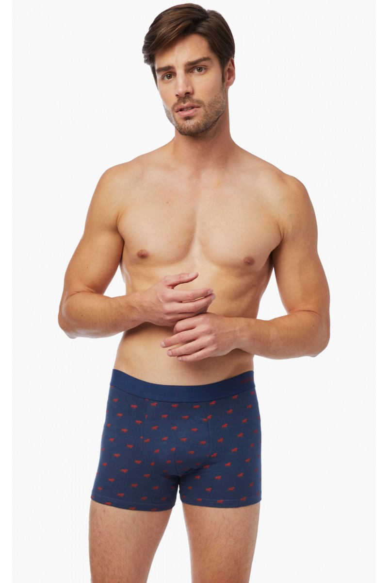 Ανδρικά Boxers MINERVA Taurus 2 τεμάχια Ανδρικά Boxers MINERVA Taurus 2 τεμάχια