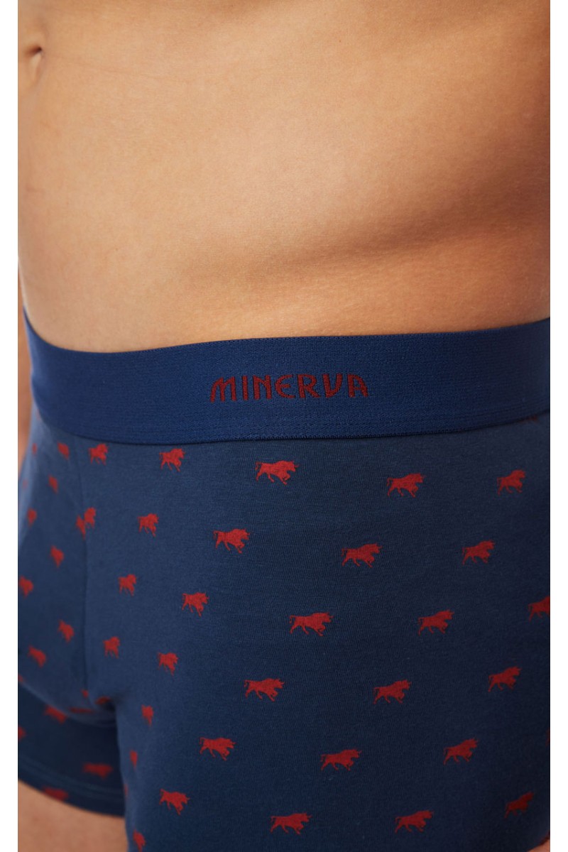 Ανδρικά Boxers MINERVA Taurus 2 τεμάχια Ανδρικά Boxers MINERVA Taurus 2 τεμάχια