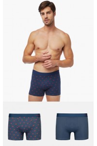 Ανδρικά Boxers MINERVA Taurus 2 τεμάχια Ανδρικά Boxers MINERVA Taurus 2 τεμάχια