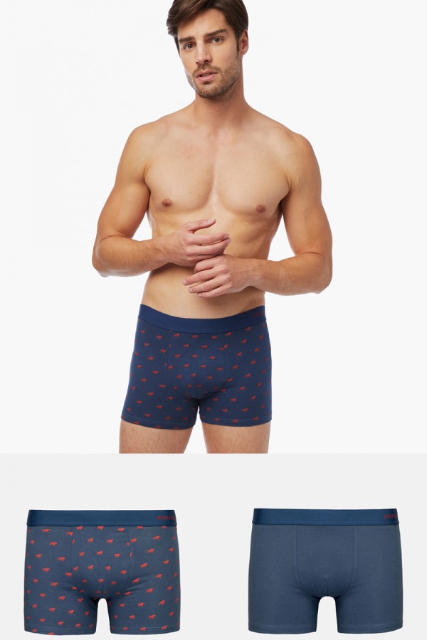 Ανδρικά Boxers MINERVA Taurus 2 τεμάχια