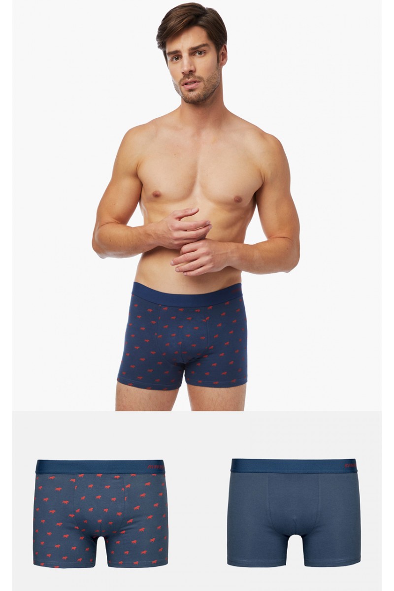 Ανδρικά Boxers MINERVA Taurus 2 τεμάχια Ανδρικά Boxers MINERVA Taurus 2 τεμάχια