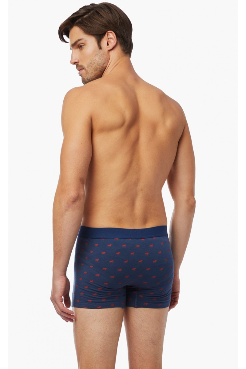 Ανδρικά Boxers MINERVA Taurus 2 τεμάχια Ανδρικά Boxers MINERVA Taurus 2 τεμάχια