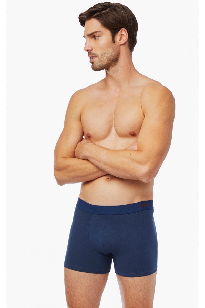 Ανδρικά Boxers MINERVA Taurus 2 τεμάχια Ανδρικά Boxers MINERVA Taurus 2 τεμάχια