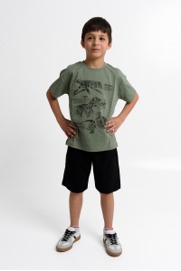 Εφηβικό σετ TRAX Dinosaur 43319 Εφηβικό σετ TRAX Dinosaur 43319