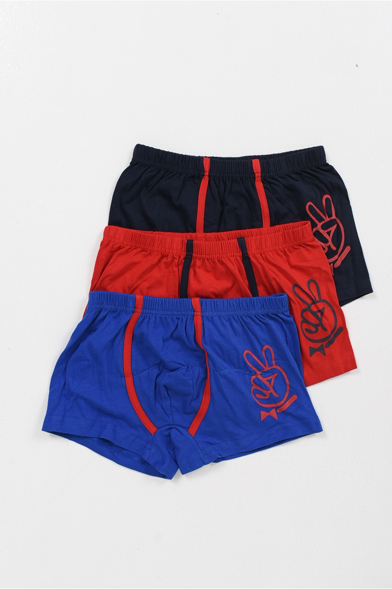 Παιδικά εσώρουχα Boxers για αγόρι TRENDY 3 Pack Y101