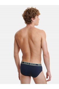 Ανδρικά εσώρουχα WALK Slip 2 PACK W1757 ΧΑΚΙ ΜΠΛΕ Ανδρικά εσώρουχα WALK Slip 2 PACK W1757 ΧΑΚΙ ΜΠΛΕ