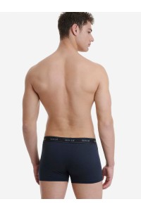 Ανδρικά εσώρουχα WALK Boxers 3 PACK W1753-3 MULTICOLOR