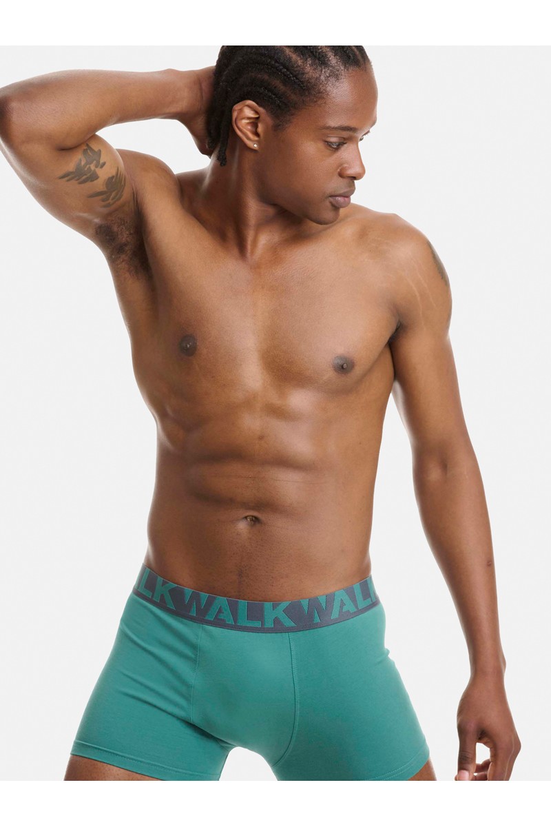 Ανδρικά εσώρουχα WALK Boxers 2 PACK W1755-1 MULTICOLOR 1 Ανδρικά εσώρουχα WALK Boxers 2 PACK W1755-1 MULTICOLOR 1