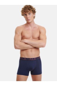 Ανδρικά εσώρουχα WALK Boxers 2 PACK W1755-1 ΜΠΛΕ ΜΠΟΡΝΤΟ Ανδρικά εσώρουχα WALK Boxers 2 PACK W1755-1 ΜΠΛΕ ΜΠΟΡΝΤΟ