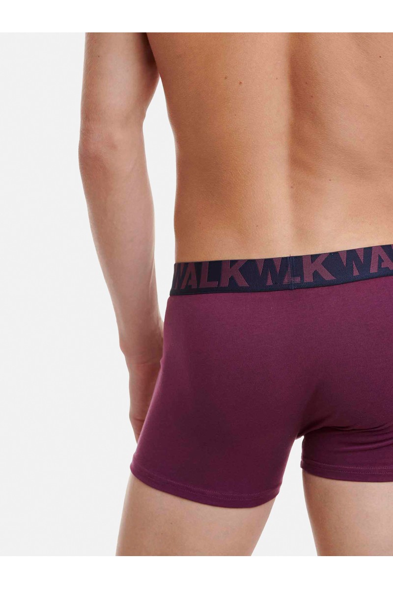 Ανδρικά εσώρουχα WALK Boxers 2 PACK W1755-1 ΜΠΛΕ ΜΠΟΡΝΤΟ Ανδρικά εσώρουχα WALK Boxers 2 PACK W1755-1 ΜΠΛΕ ΜΠΟΡΝΤΟ