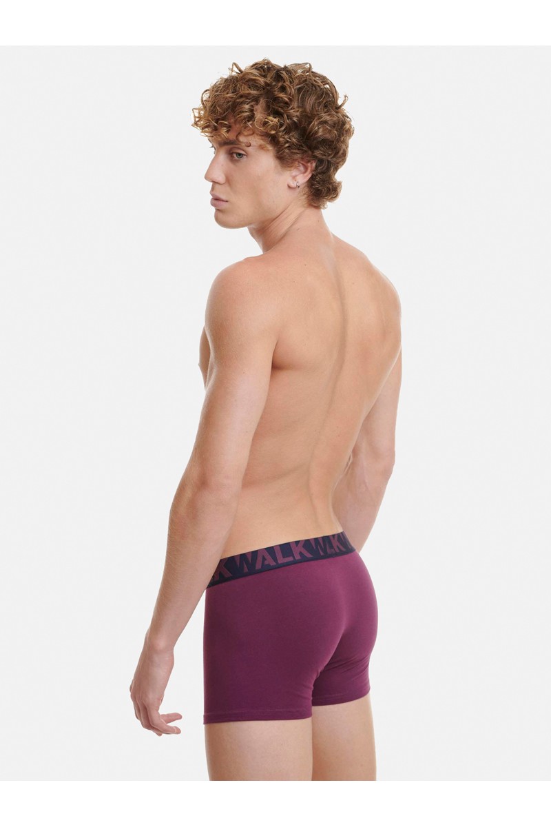 Ανδρικά εσώρουχα WALK Boxers 2 PACK W1755-1 ΜΠΛΕ ΜΠΟΡΝΤΟ