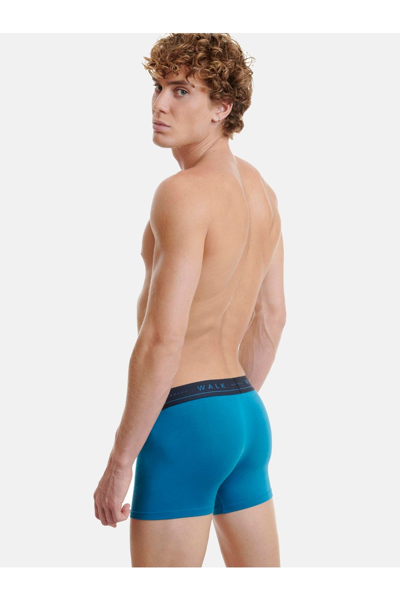 Εσώρουχα BAMBOO WALK Boxers 2 PACK W1776-0307 ΜΠΛΕ ΣΚ - ΡΑΦ Εσώρουχα BAMBOO WALK Boxers 2 PACK W1776-0307 ΜΠΛΕ ΣΚ - ΡΑΦ
