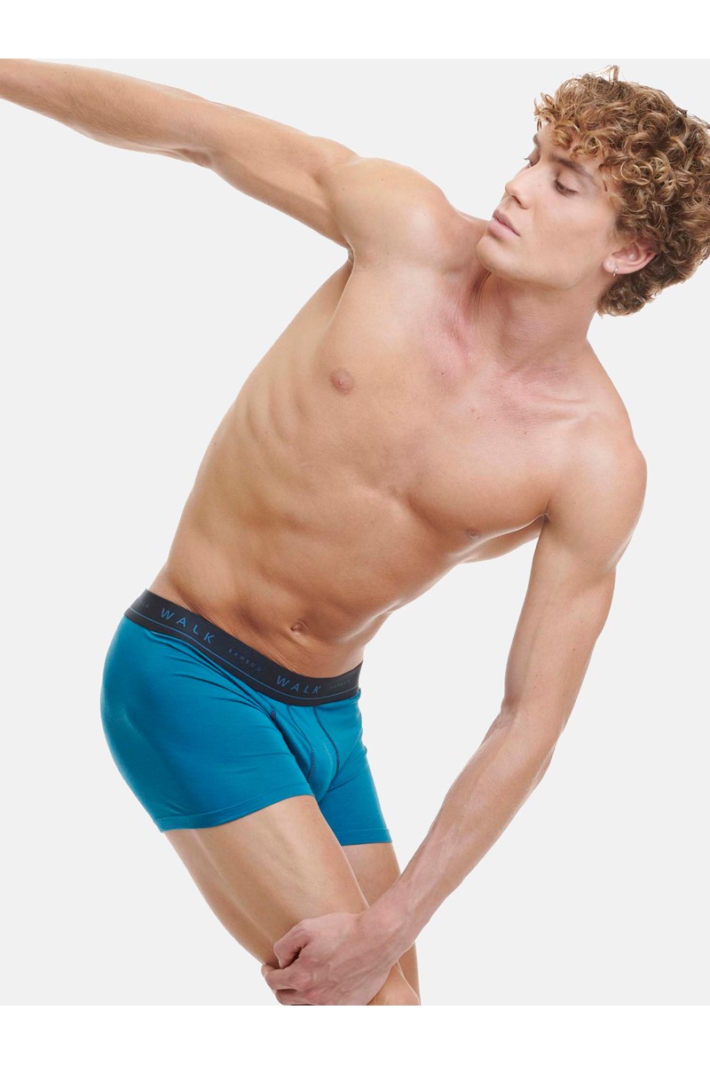 Εσώρουχα BAMBOO WALK Boxers 2 PACK W1776-0307 ΜΠΛΕ ΣΚ - ΡΑΦ Εσώρουχα BAMBOO WALK Boxers 2 PACK W1776-0307 ΜΠΛΕ ΣΚ - ΡΑΦ
