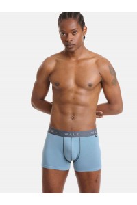 Εσώρουχα BAMBOO WALK Boxers 2 PACK W1776 ΧΑΚΙ ΤΙΡΚΟΥΑΖ