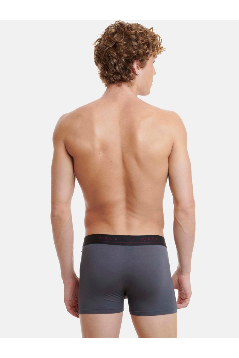 Εσώρουχα BAMBOO WALK Boxers 2 PACK W1776_2704 ΜΠΟΡΝΤΌ ΑΝΘΡΑΚΙ Εσώρουχα BAMBOO WALK Boxers 2 PACK W1776_2704 ΜΠΟΡΝΤΌ ΑΝΘΡΑΚΙ