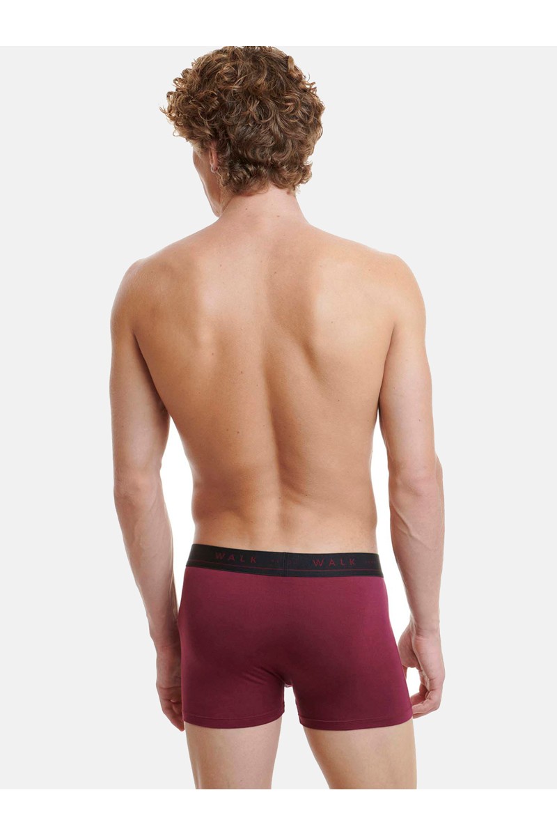Εσώρουχα BAMBOO WALK Boxers 2 PACK W1776_2704 ΜΠΟΡΝΤΌ ΑΝΘΡΑΚΙ Εσώρουχα BAMBOO WALK Boxers 2 PACK W1776_2704 ΜΠΟΡΝΤΌ ΑΝΘΡΑΚΙ