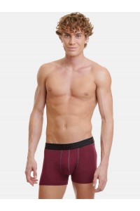 Εσώρουχα BAMBOO WALK Boxers 2 PACK W1776_2704 ΜΠΟΡΝΤΌ ΑΝΘΡΑΚΙ Εσώρουχα BAMBOO WALK Boxers 2 PACK W1776_2704 ΜΠΟΡΝΤΌ ΑΝΘΡΑΚΙ
