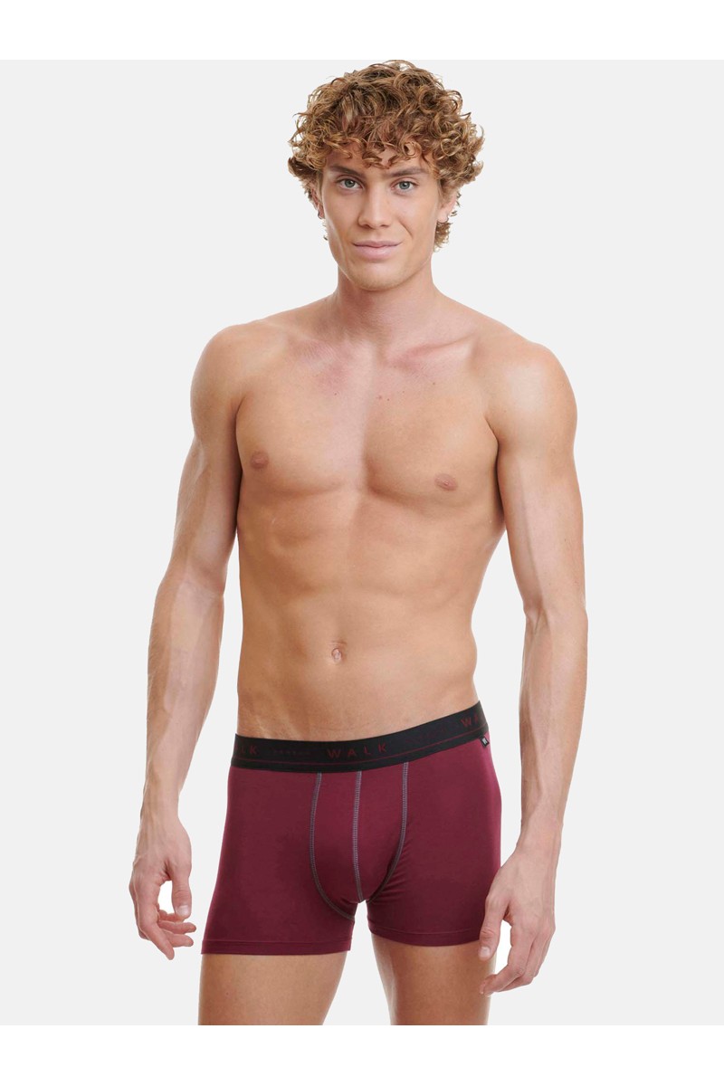 Εσώρουχα BAMBOO WALK Boxers 2 PACK W1776_2704 ΜΠΟΡΝΤΌ ΑΝΘΡΑΚΙ Εσώρουχα BAMBOO WALK Boxers 2 PACK W1776_2704 ΜΠΟΡΝΤΌ ΑΝΘΡΑΚΙ