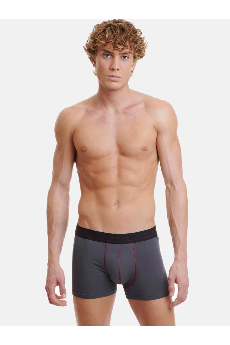 Εσώρουχα BAMBOO WALK Boxers 2 PACK W1776_2704 ΜΠΟΡΝΤΌ ΑΝΘΡΑΚΙ Εσώρουχα BAMBOO WALK Boxers 2 PACK W1776_2704 ΜΠΟΡΝΤΌ ΑΝΘΡΑΚΙ