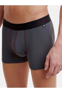 Εσώρουχα BAMBOO WALK Boxers 2 PACK W1776_2704 ΜΠΟΡΝΤΌ ΑΝΘΡΑΚΙ Εσώρουχα BAMBOO WALK Boxers 2 PACK W1776_2704 ΜΠΟΡΝΤΌ ΑΝΘΡΑΚΙ