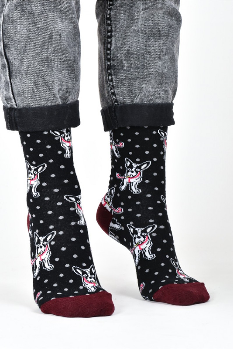 JOHN FRANK Γυναικείες κάλτσες BULLDOG 2020